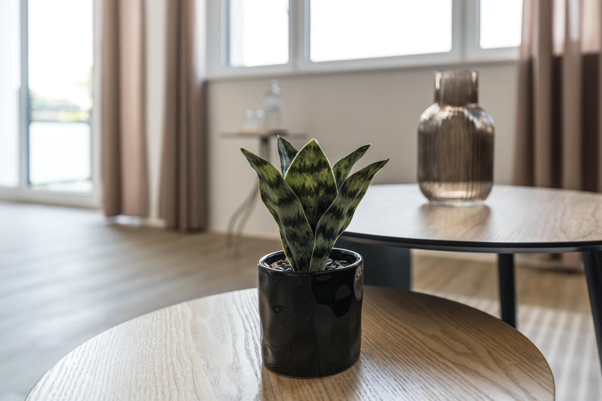 Lindenloft - Modernes Am Lindenbogen *
